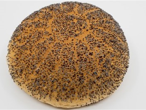 Tarwe maanzaadbollen